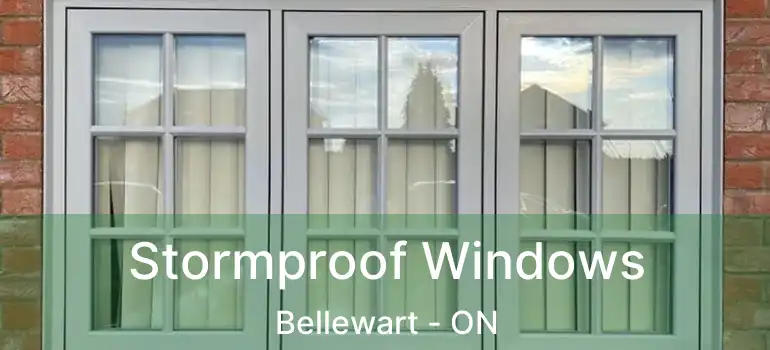  Stormproof Windows Bellewart - ON