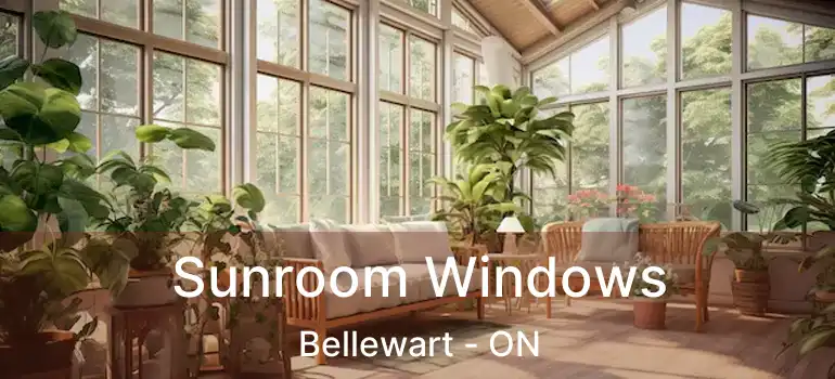  Sunroom Windows Bellewart - ON