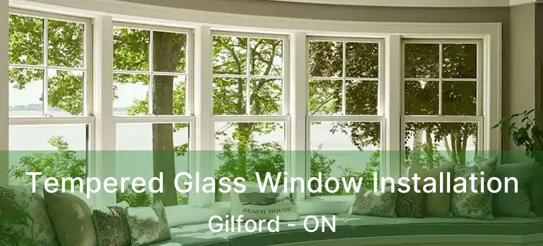  Tempered Glass Window Installation Gilford - ON