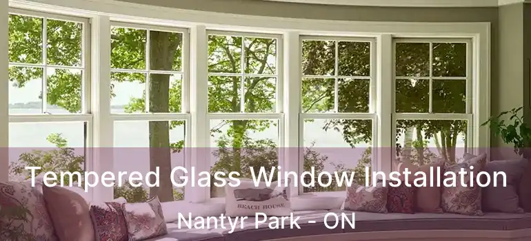  Tempered Glass Window Installation Nantyr Park - ON