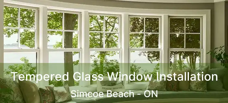  Tempered Glass Window Installation Simcoe Beach - ON