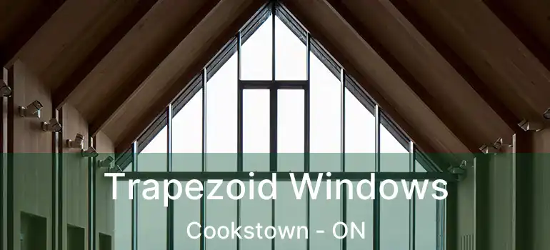  Trapezoid Windows Cookstown - ON