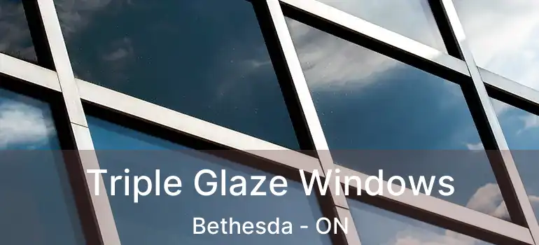  Triple Glaze Windows Bethesda - ON