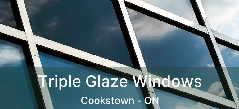  Triple Glaze Windows Cookstown - ON