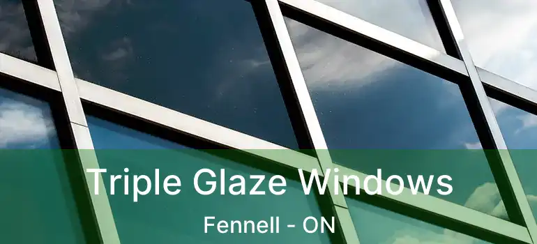  Triple Glaze Windows Fennell - ON