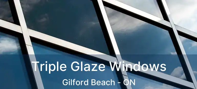  Triple Glaze Windows Gilford Beach - ON