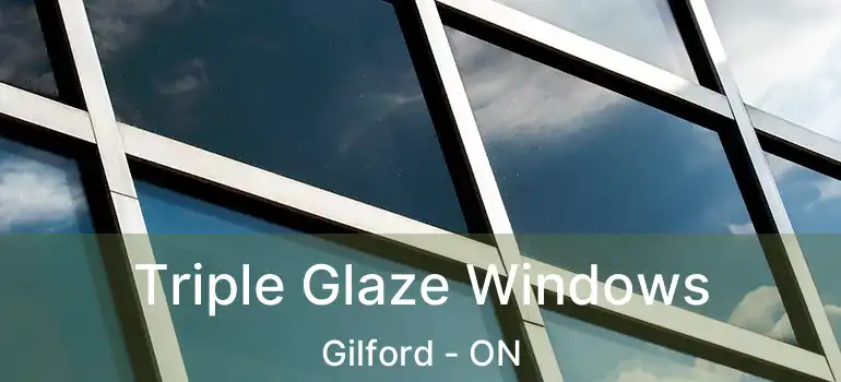  Triple Glaze Windows Gilford - ON