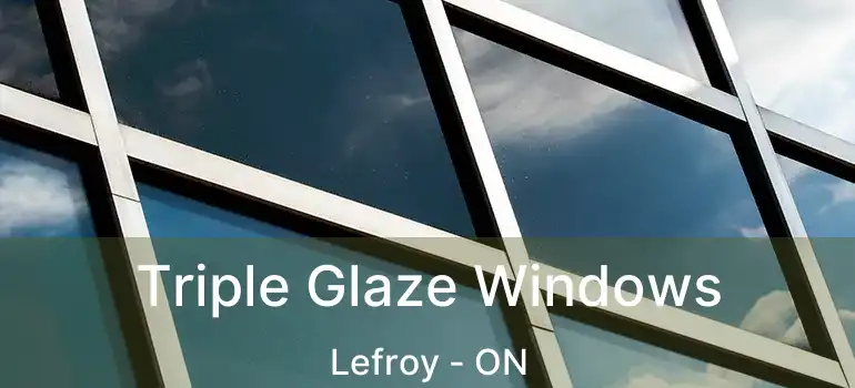  Triple Glaze Windows Lefroy - ON