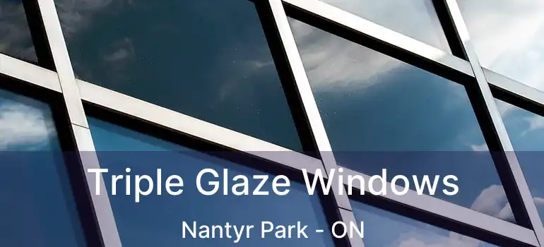  Triple Glaze Windows Nantyr Park - ON