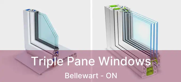  Triple Pane Windows Bellewart - ON