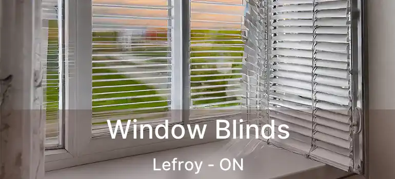  Window Blinds Lefroy - ON