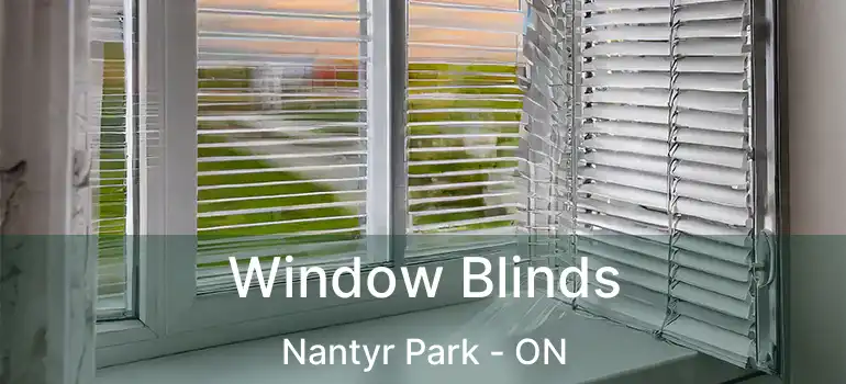  Window Blinds Nantyr Park - ON