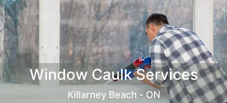  Window Caulk Services Killarney Beach - ON