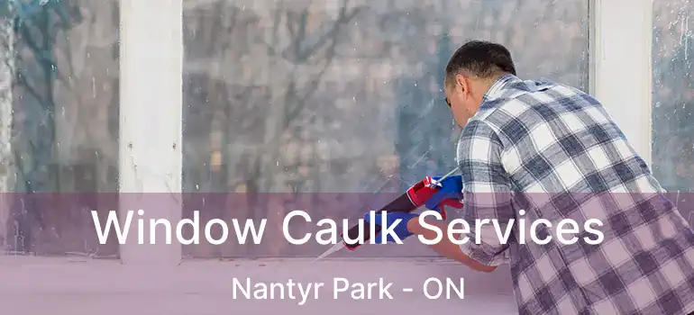  Window Caulk Services Nantyr Park - ON