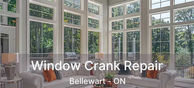  Window Crank Repair Bellewart - ON