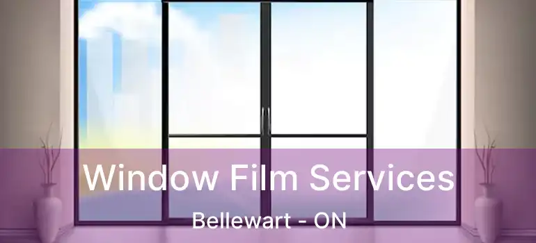  Window Film Services Bellewart - ON