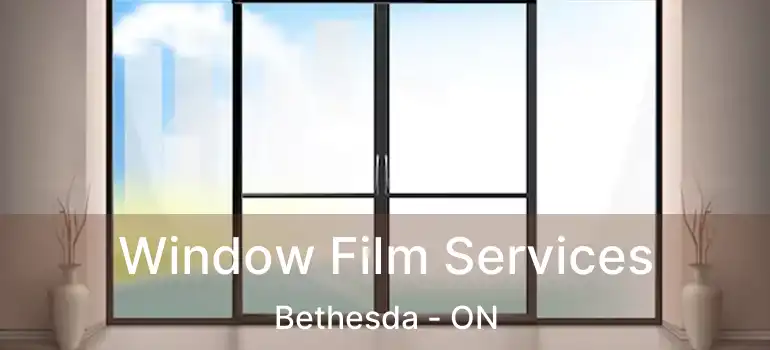 Window Film Services Bethesda - ON