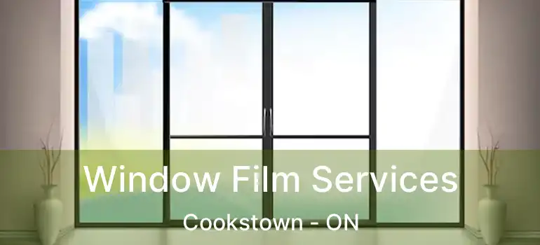  Window Film Services Cookstown - ON