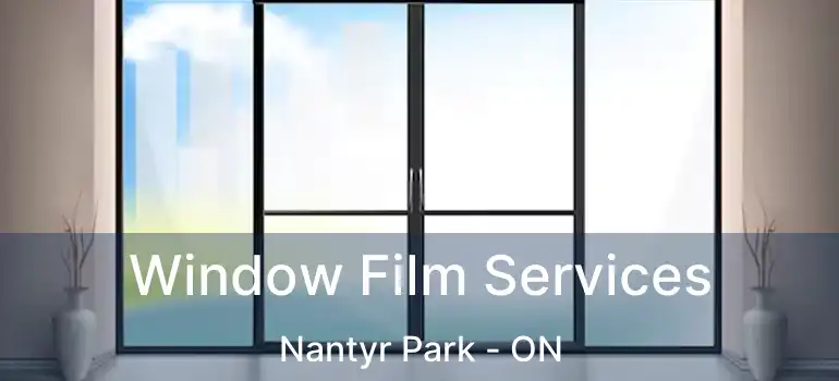  Window Film Services Nantyr Park - ON