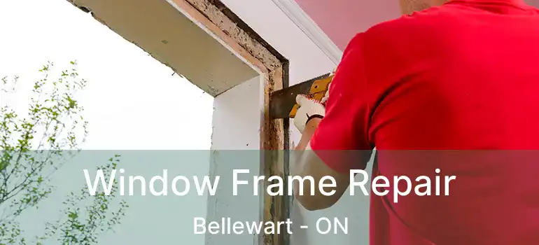  Window Frame Repair Bellewart - ON
