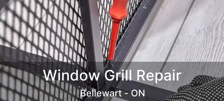  Window Grill Repair Bellewart - ON