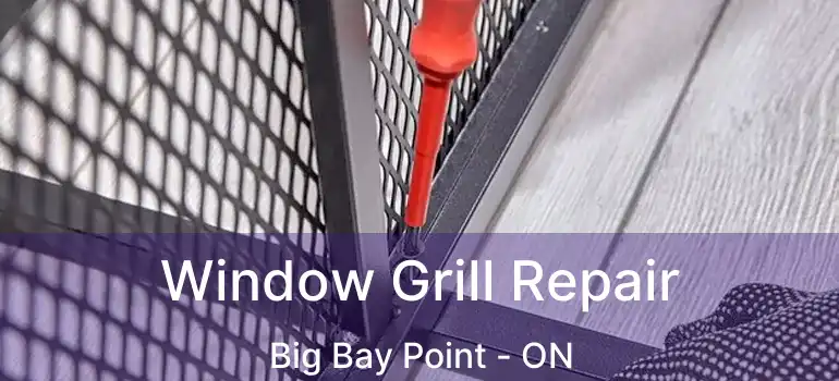  Window Grill Repair Big Bay Point - ON