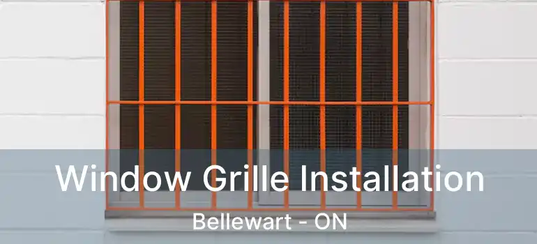  Window Grille Installation Bellewart - ON