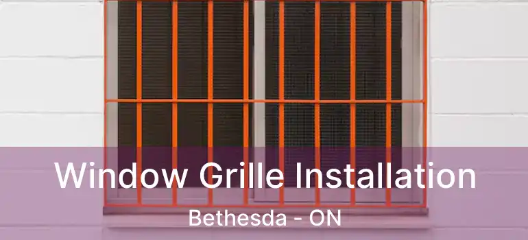  Window Grille Installation Bethesda - ON