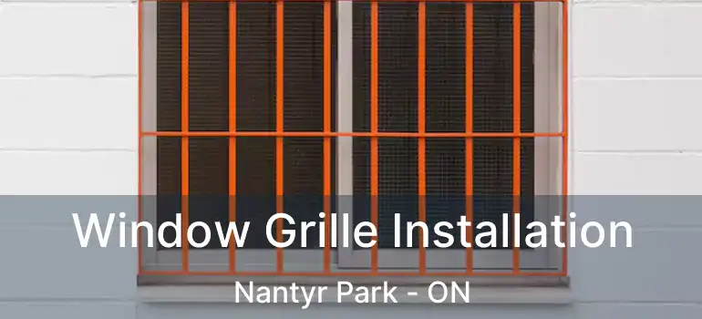  Window Grille Installation Nantyr Park - ON