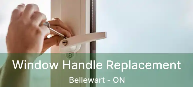  Window Handle Replacement Bellewart - ON