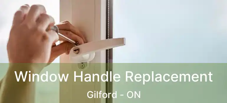  Window Handle Replacement Gilford - ON