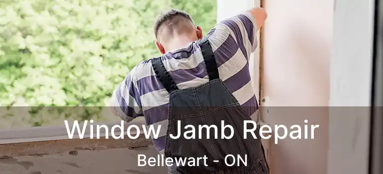  Window Jamb Repair Bellewart - ON