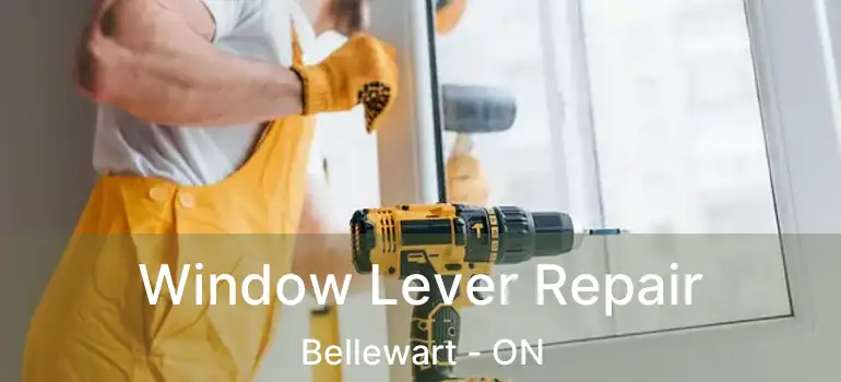 Window Lever Repair Bellewart - ON