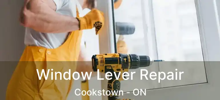  Window Lever Repair Cookstown - ON