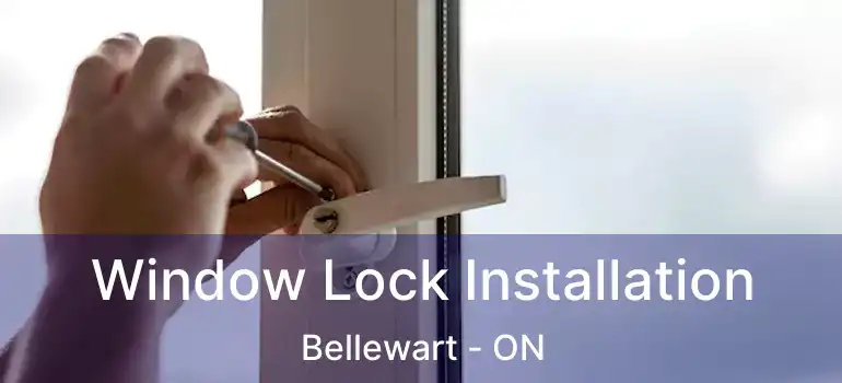  Window Lock Installation Bellewart - ON