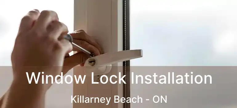  Window Lock Installation Killarney Beach - ON