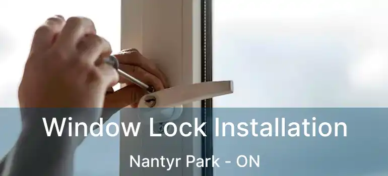  Window Lock Installation Nantyr Park - ON