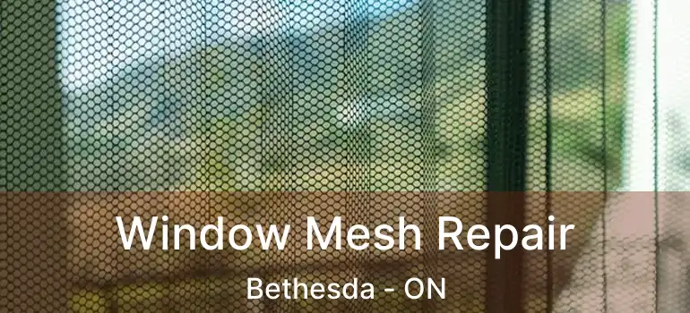  Window Mesh Repair Bethesda - ON