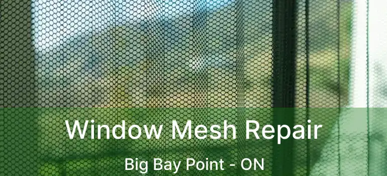  Window Mesh Repair Big Bay Point - ON