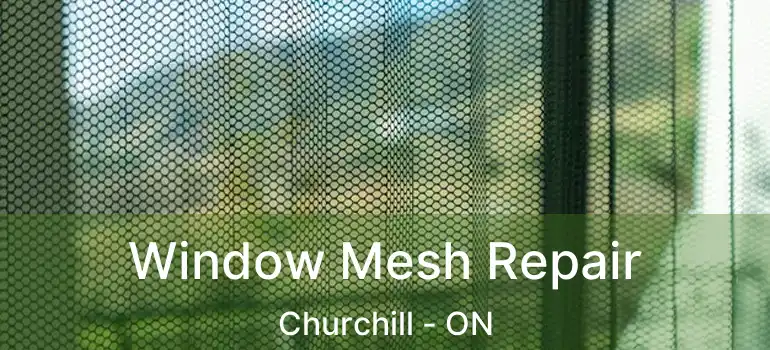  Window Mesh Repair Churchill - ON