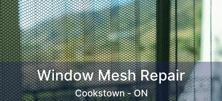  Window Mesh Repair Cookstown - ON
