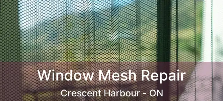  Window Mesh Repair Crescent Harbour - ON