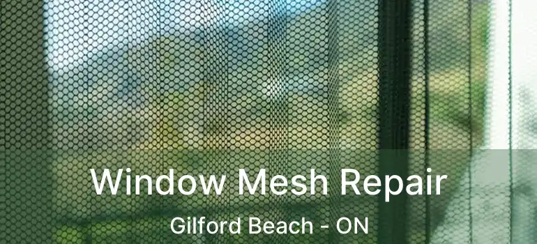 Window Mesh Repair Gilford Beach - ON