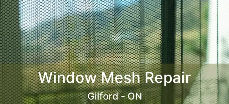 Window Mesh Repair Gilford - ON