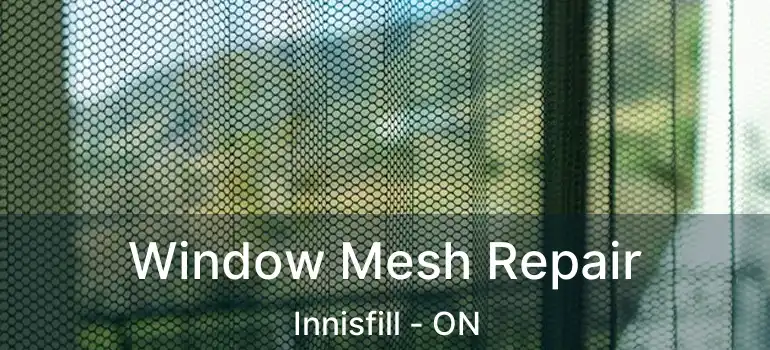  Window Mesh Repair Innisfill - ON