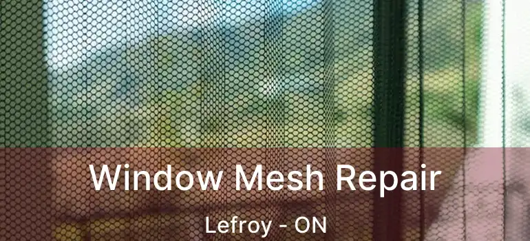  Window Mesh Repair Lefroy - ON