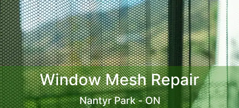  Window Mesh Repair Nantyr Park - ON