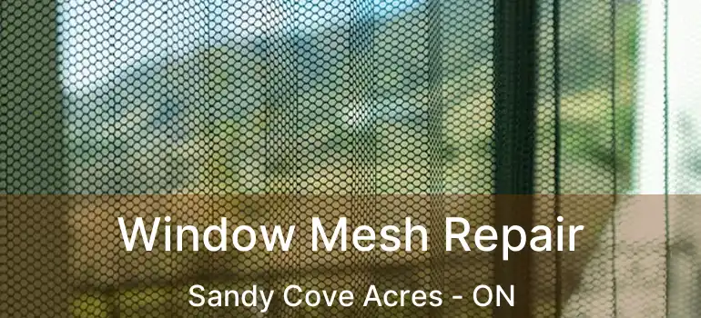  Window Mesh Repair Sandy Cove Acres - ON