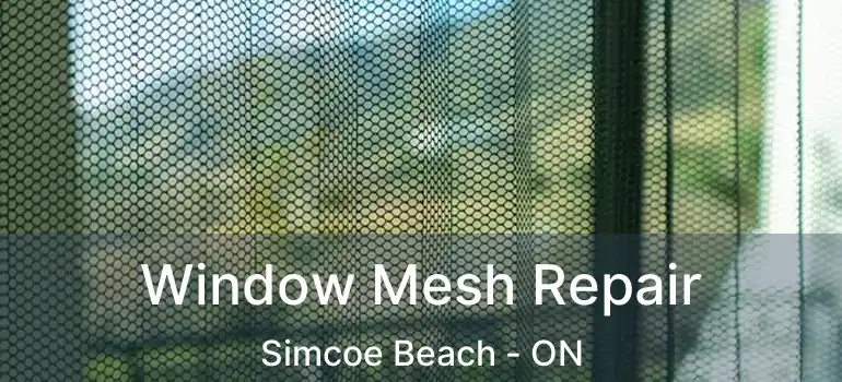  Window Mesh Repair Simcoe Beach - ON