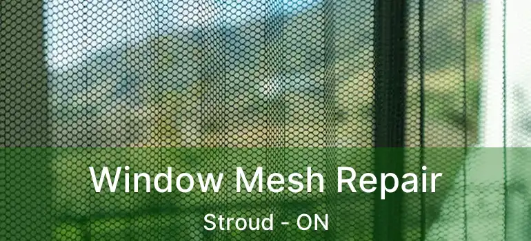  Window Mesh Repair Stroud - ON